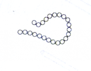 Chain loop White